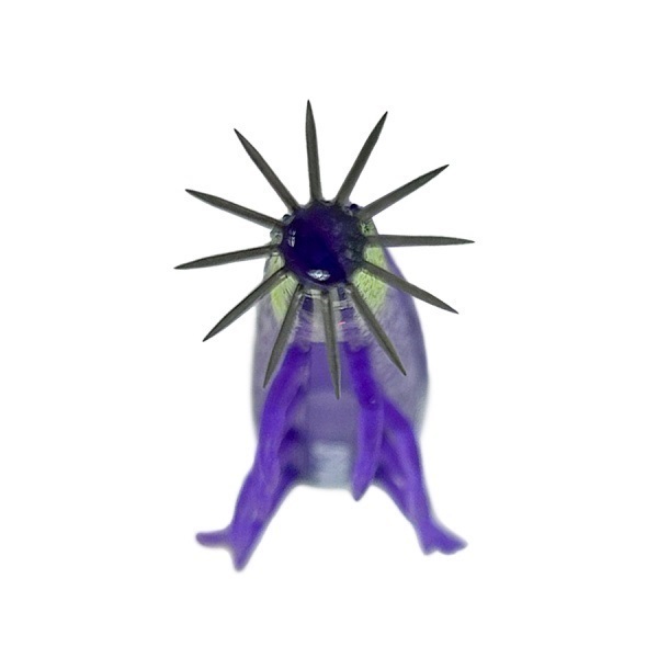 海老助68mm【Tsulinoオリジナルカラー】